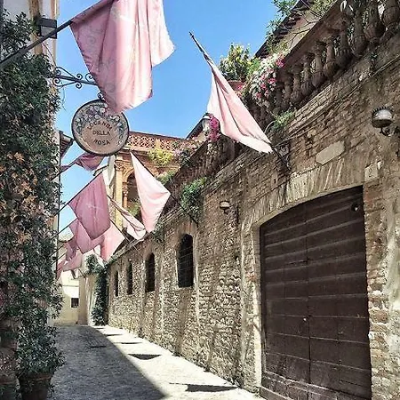 فندق مبيت وإفطار A Modo Mio